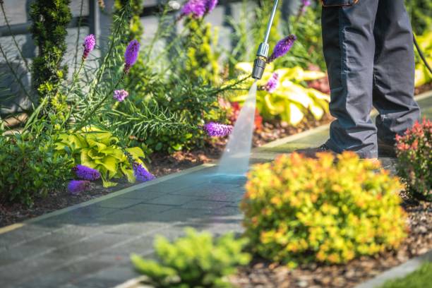 Best Dumpster Area Cleaning  in Haskell, TX